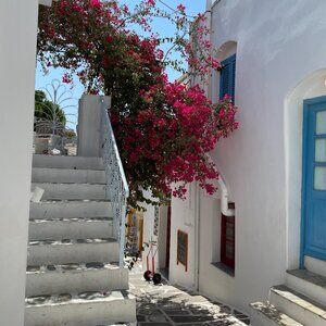 Meet your Posher, Voula